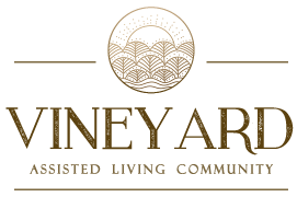Vineyard-logo_LARGE_transparent2