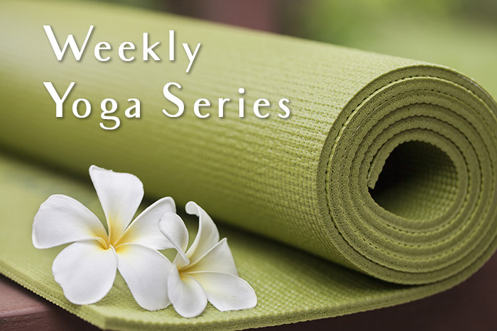 Yoga_Series Yoga_Series